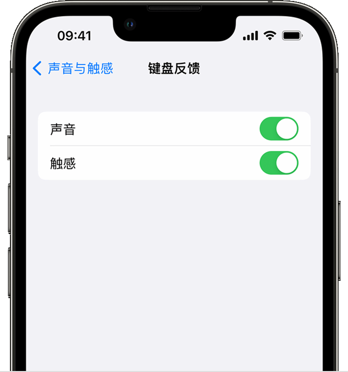 克井镇苹果14维修店分享如何在 iPhone 14 机型中使用触感键盘 