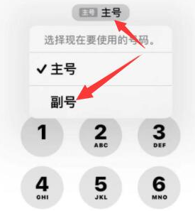 克井镇苹果14维修店分享iPhone 14 Pro Max使用副卡打电话的方法 