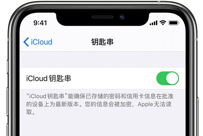 克井镇苹果手机维修分享在 iPhone 上开启 iCloud 钥匙串之后会储存哪些信息 